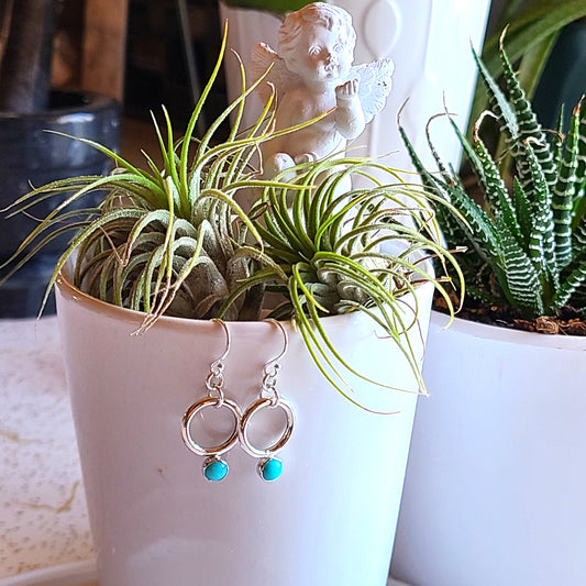 Sleeping Beauty Turquoise Earrings