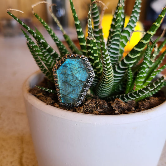 Labradorite Coffin Ring